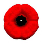 Remembrance Day Poppy.